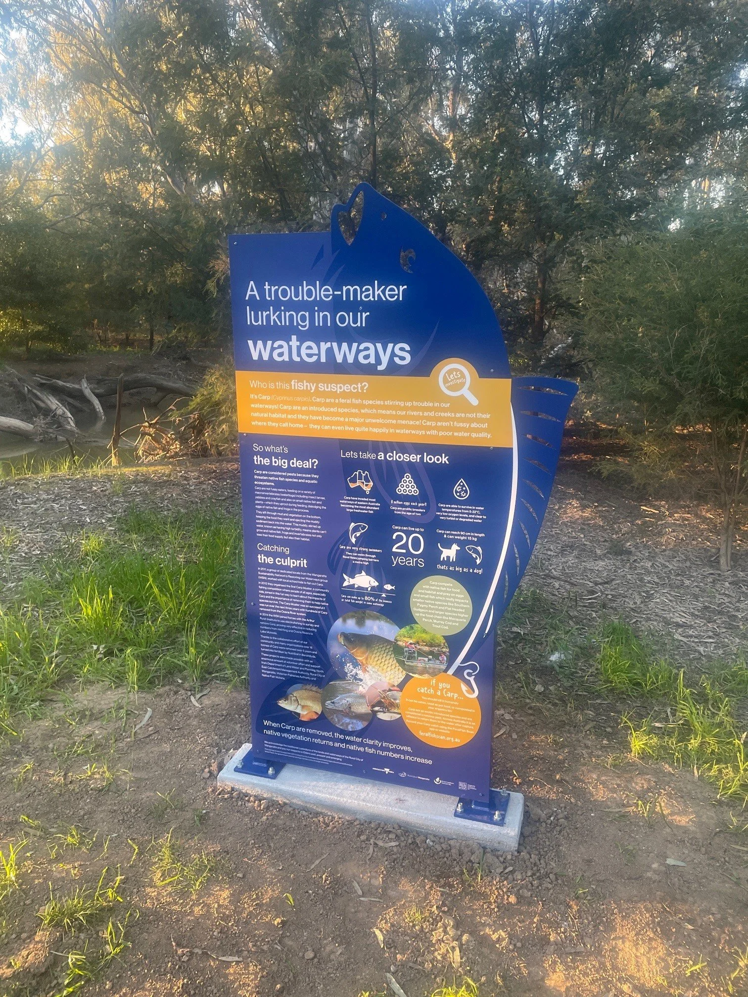 Large custom-shaped outdoor panel mounted on a post-and-panel frame